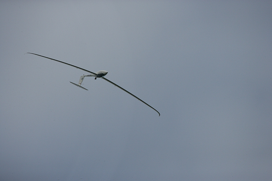 img 345.JPG